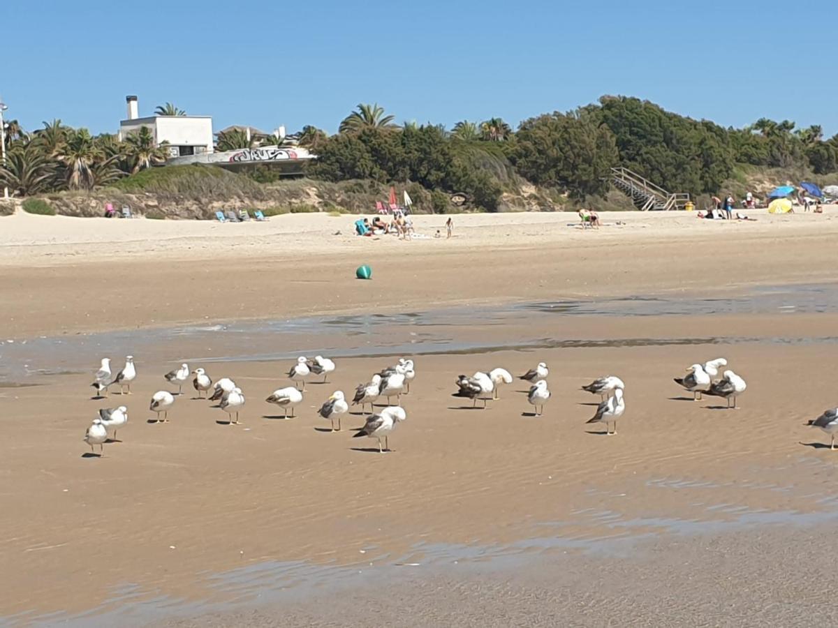Apartamento Vista Azul Costa Ballena Exteriér fotografie